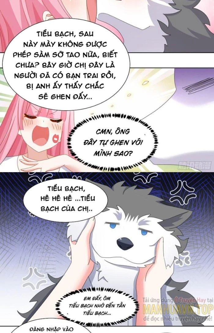 Trọng Sinh Thành Chó Của Nữ Thần Chapter 255 - Trang 2