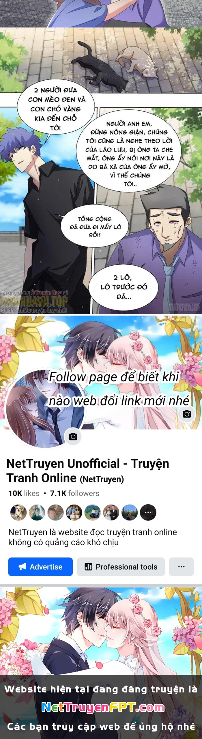 Trọng Sinh Thành Chó Của Nữ Thần Chapter 256 - Trang 2