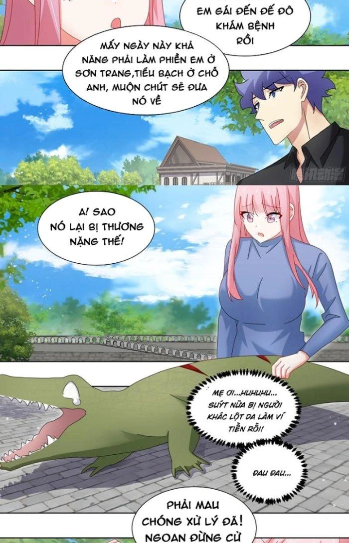 Trọng Sinh Thành Chó Của Nữ Thần Chapter 257 - Trang 2