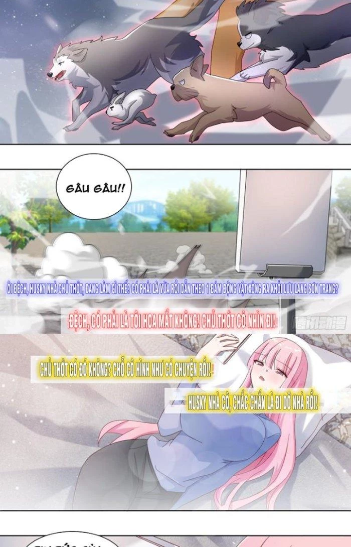 Trọng Sinh Thành Chó Của Nữ Thần Chapter 258 - Trang 2