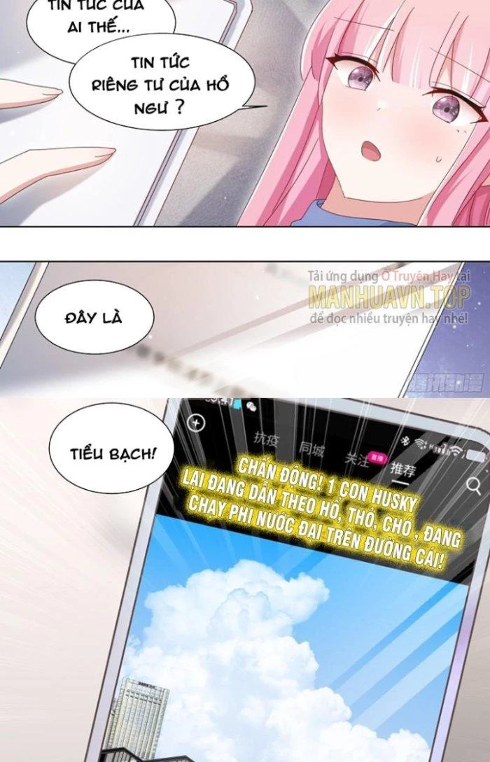 Trọng Sinh Thành Chó Của Nữ Thần Chapter 258 - Trang 2