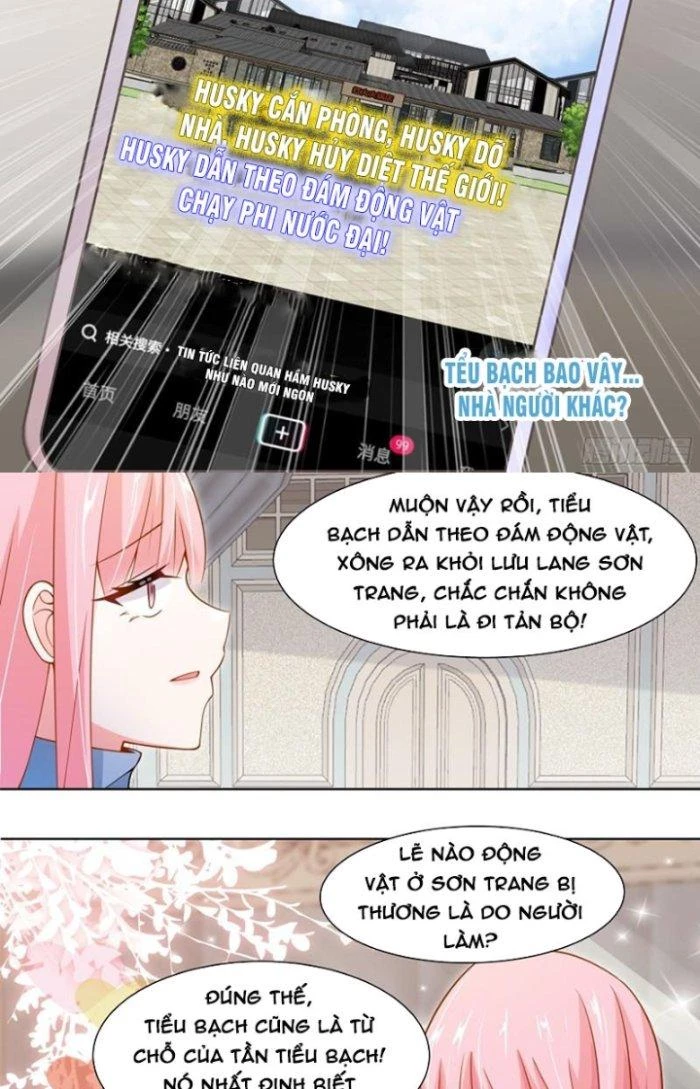 Trọng Sinh Thành Chó Của Nữ Thần Chapter 258 - Trang 2