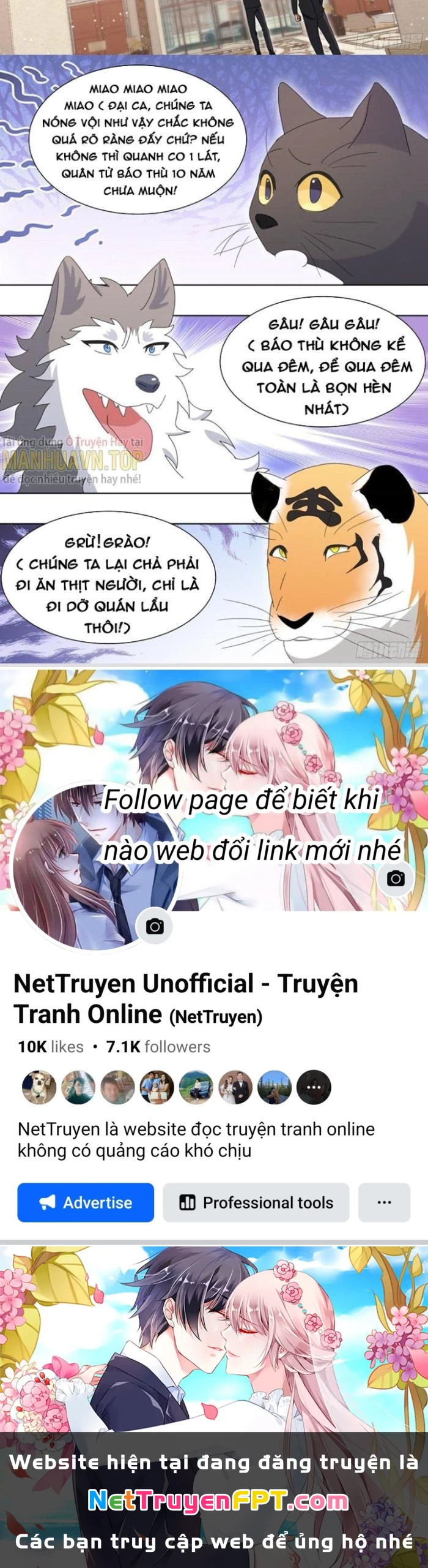 Trọng Sinh Thành Chó Của Nữ Thần Chapter 258 - Trang 2