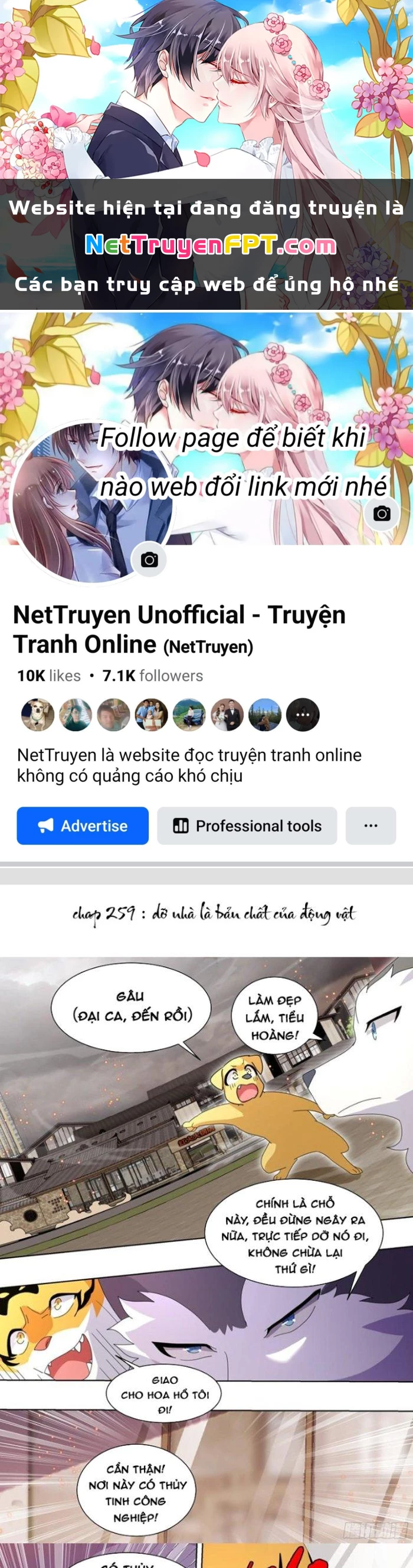 Trọng Sinh Thành Chó Của Nữ Thần Chapter 259 - Trang 2