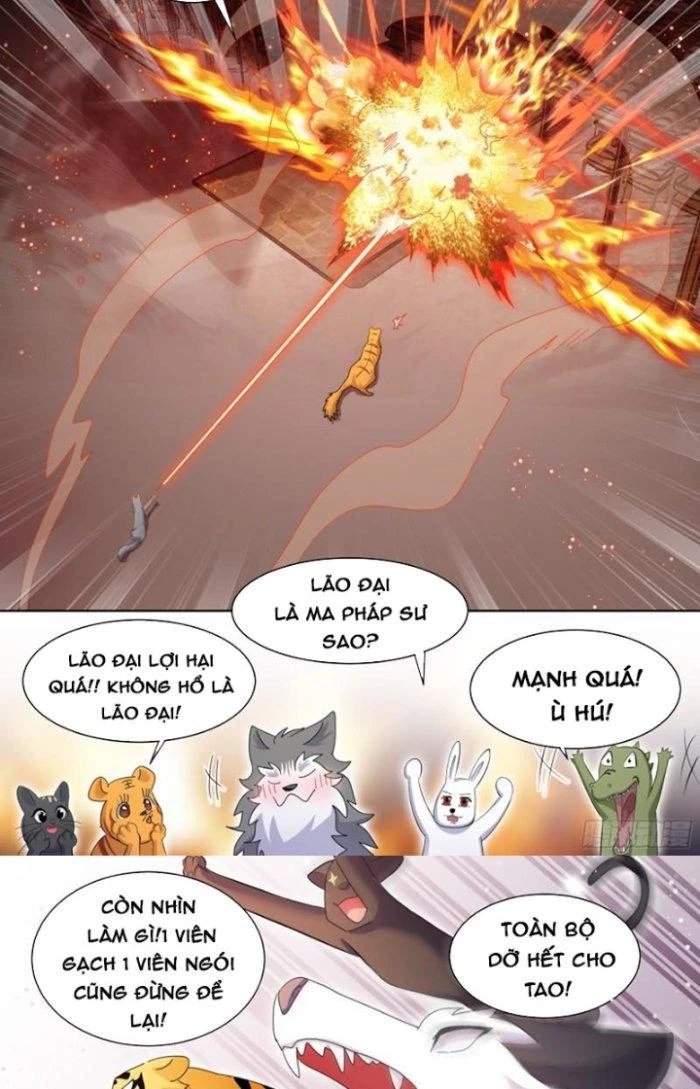 Trọng Sinh Thành Chó Của Nữ Thần Chapter 259 - Trang 2