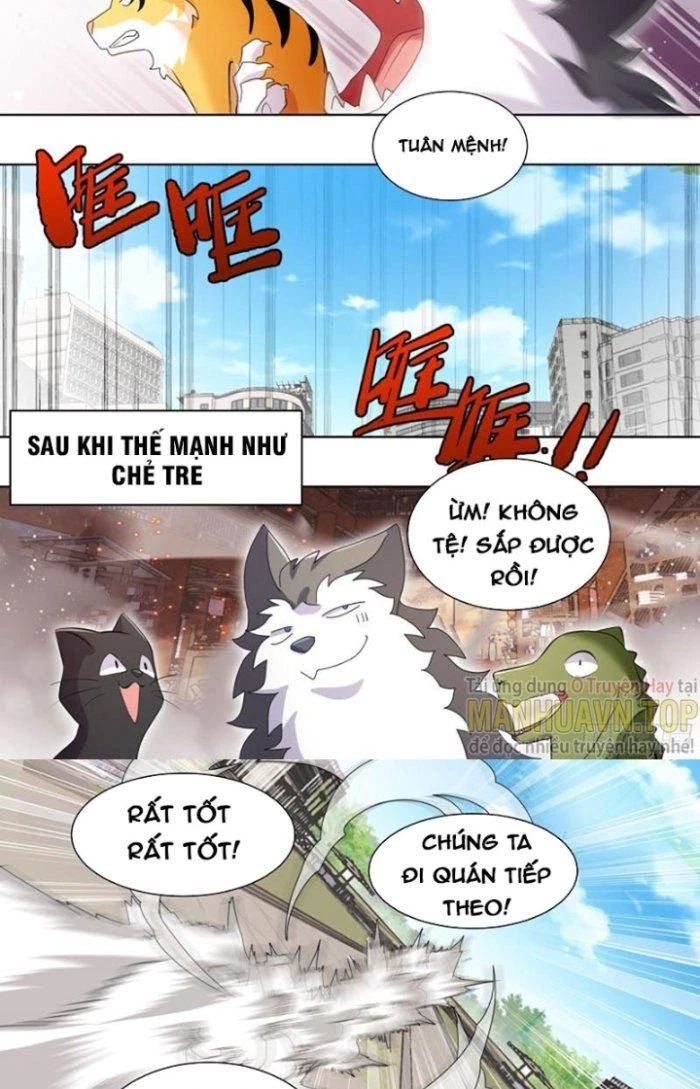 Trọng Sinh Thành Chó Của Nữ Thần Chapter 259 - Trang 2