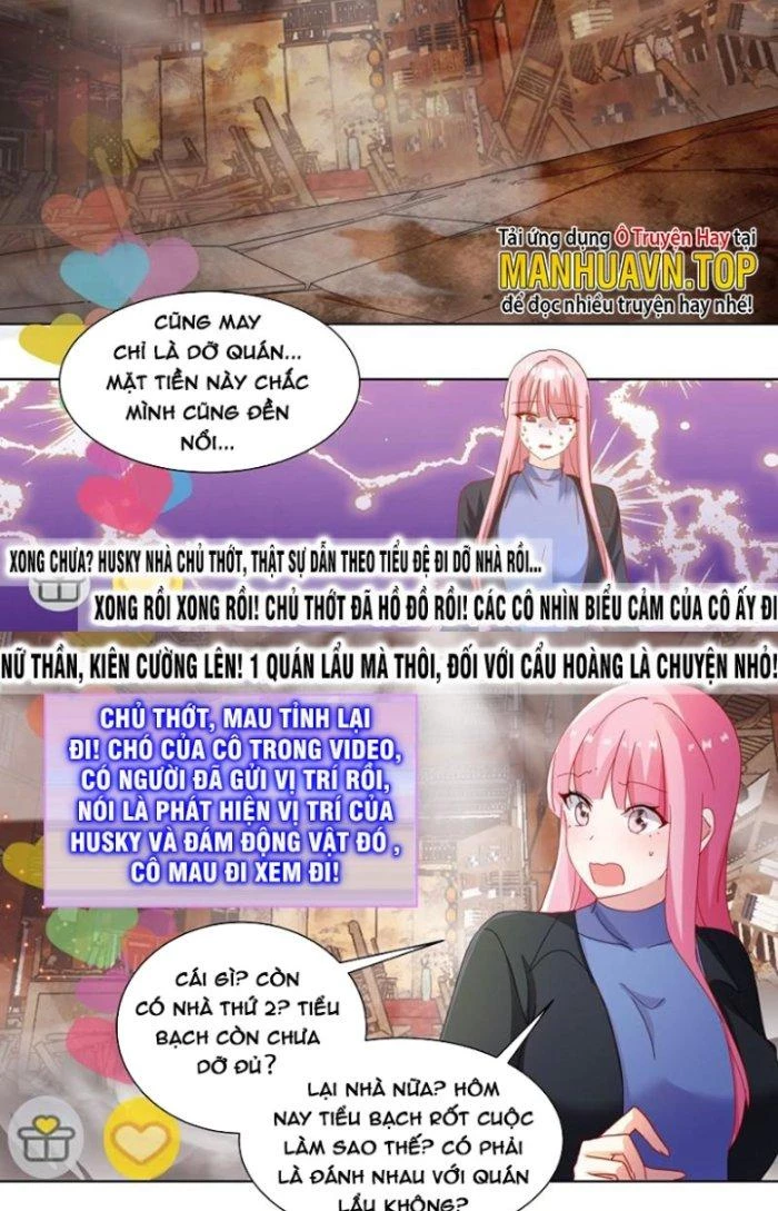 Trọng Sinh Thành Chó Của Nữ Thần Chapter 259 - Trang 2