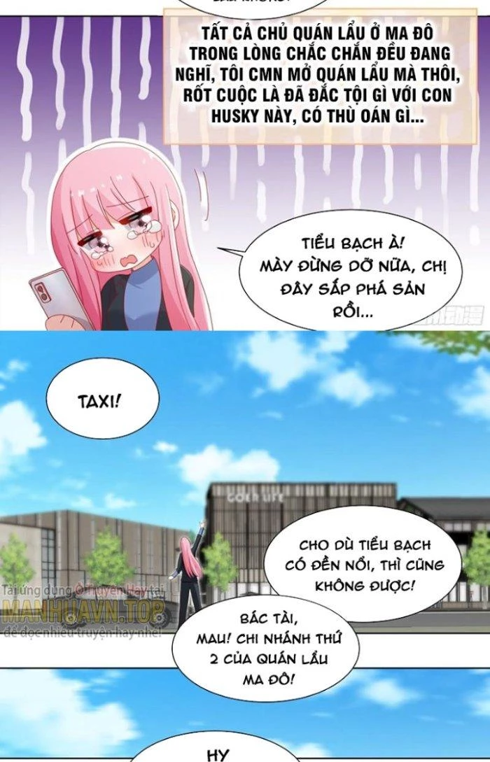 Trọng Sinh Thành Chó Của Nữ Thần Chapter 259 - Trang 2