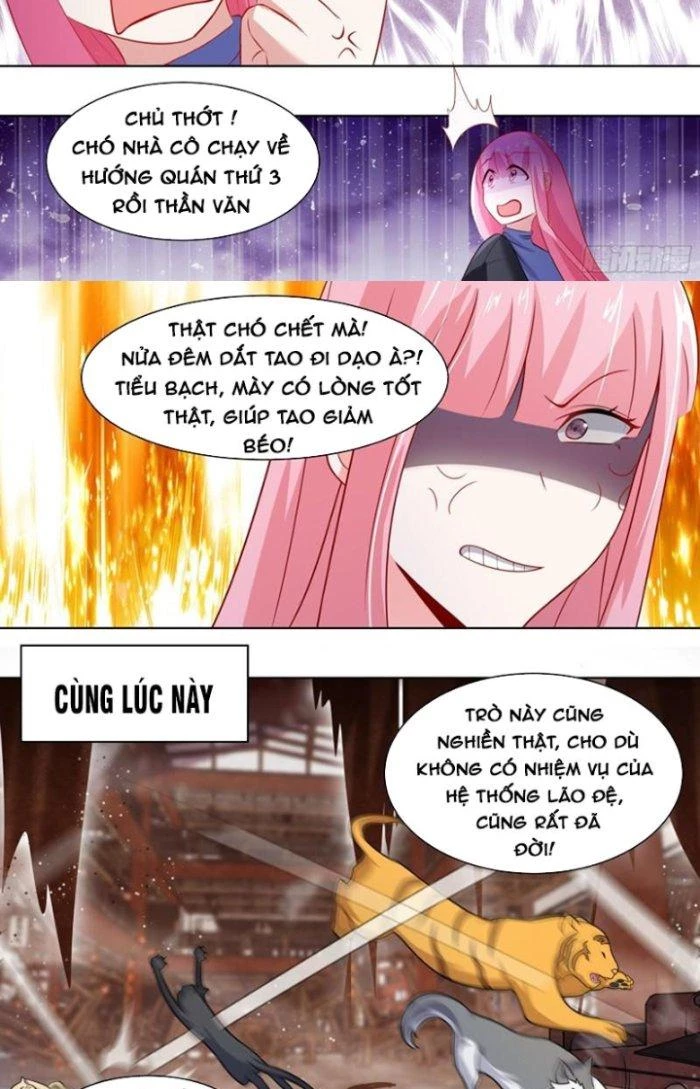 Trọng Sinh Thành Chó Của Nữ Thần Chapter 259 - Trang 2