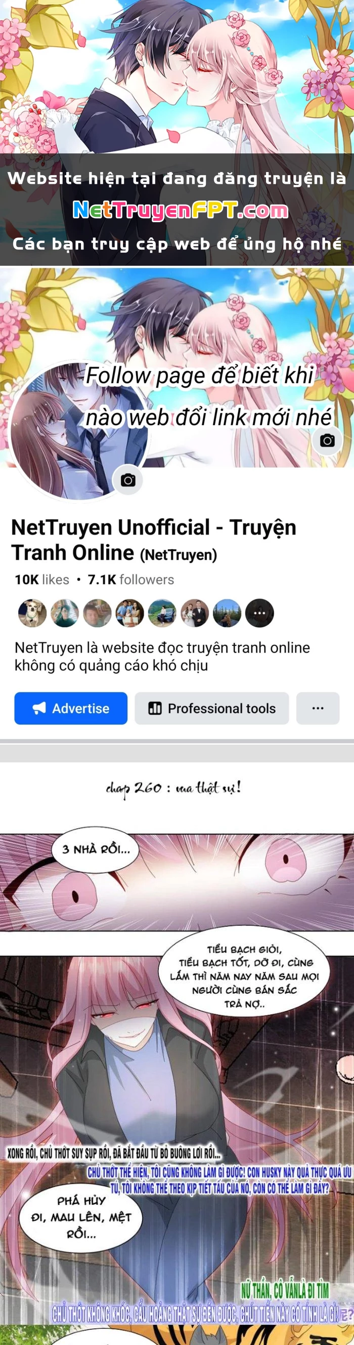 Trọng Sinh Thành Chó Của Nữ Thần Chapter 260 - Trang 2