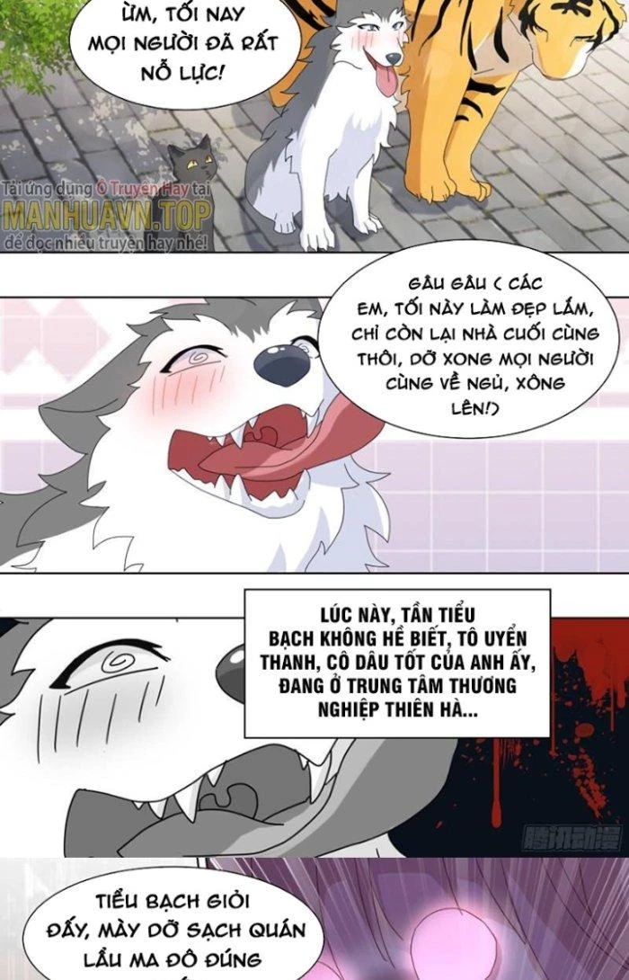 Trọng Sinh Thành Chó Của Nữ Thần Chapter 260 - Trang 2