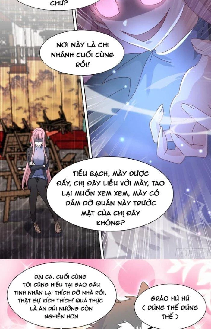 Trọng Sinh Thành Chó Của Nữ Thần Chapter 260 - Trang 2