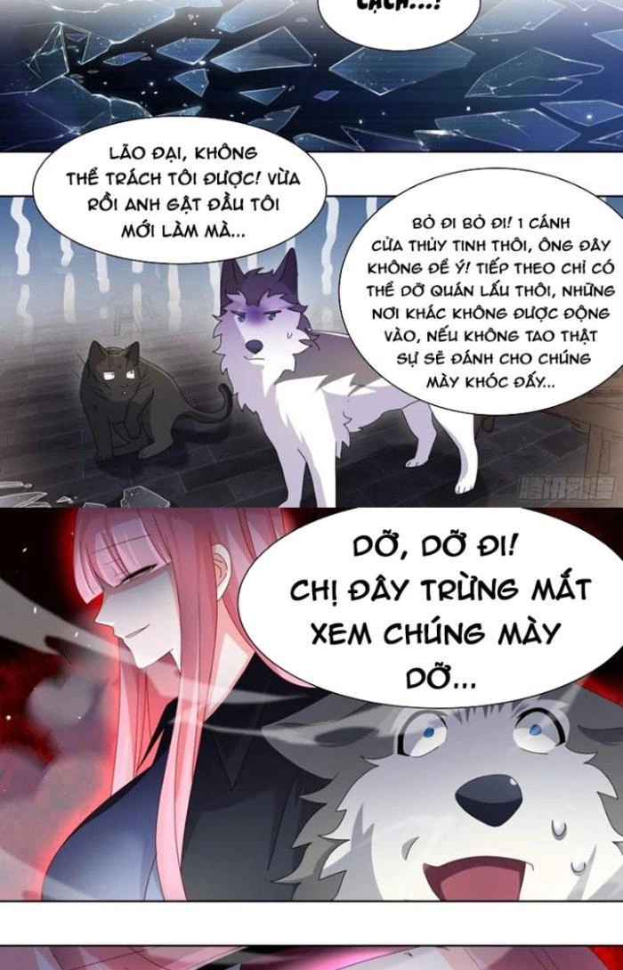 Trọng Sinh Thành Chó Của Nữ Thần Chapter 260 - Trang 2