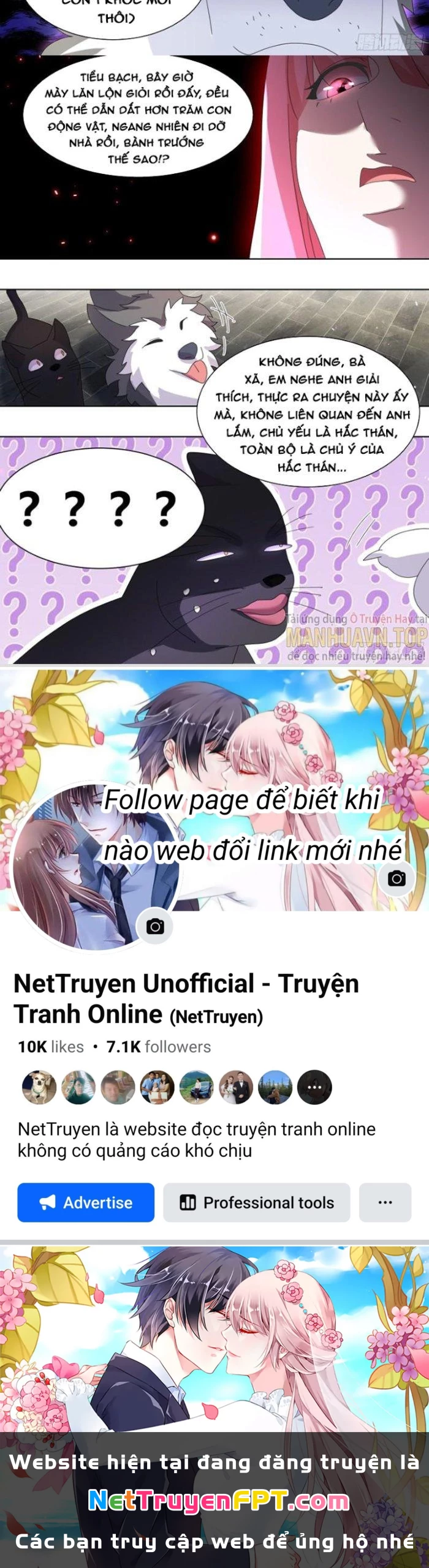 Trọng Sinh Thành Chó Của Nữ Thần Chapter 260 - Trang 2