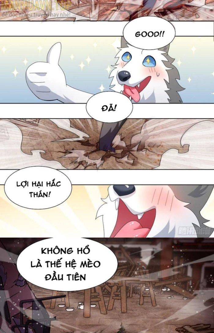 Trọng Sinh Thành Chó Của Nữ Thần Chapter 261 - Trang 2