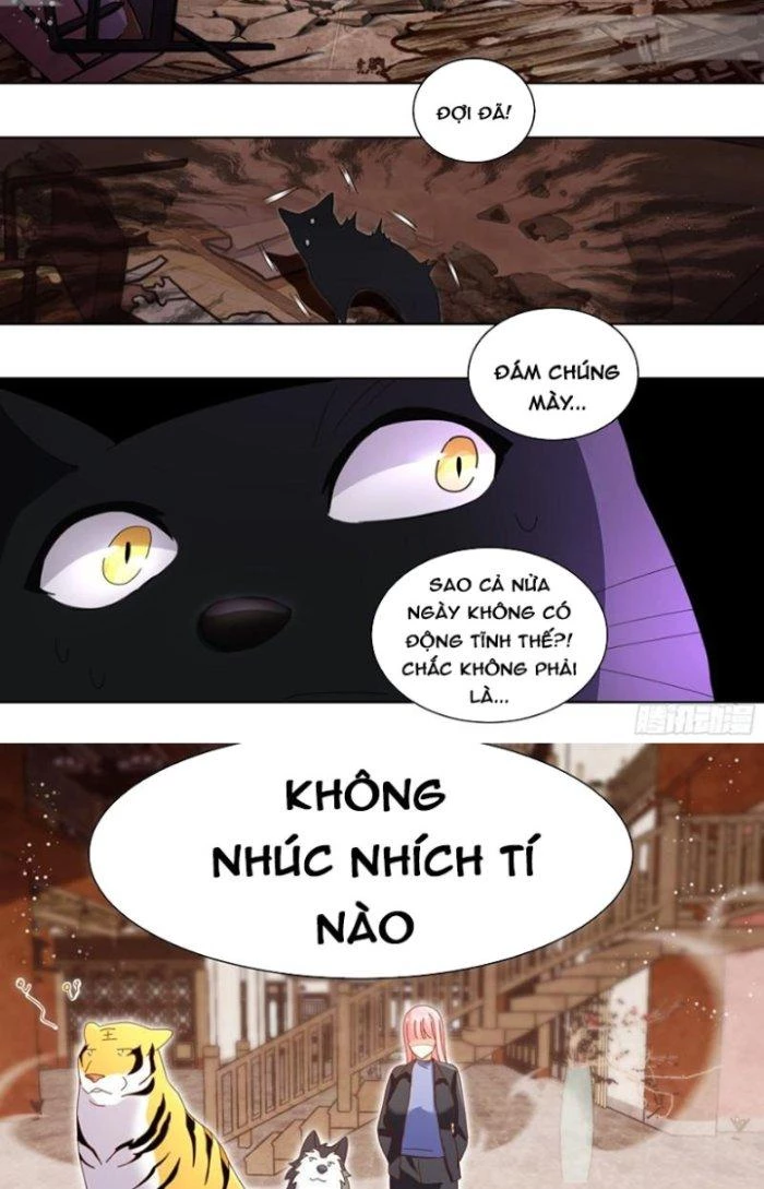 Trọng Sinh Thành Chó Của Nữ Thần Chapter 261 - Trang 2