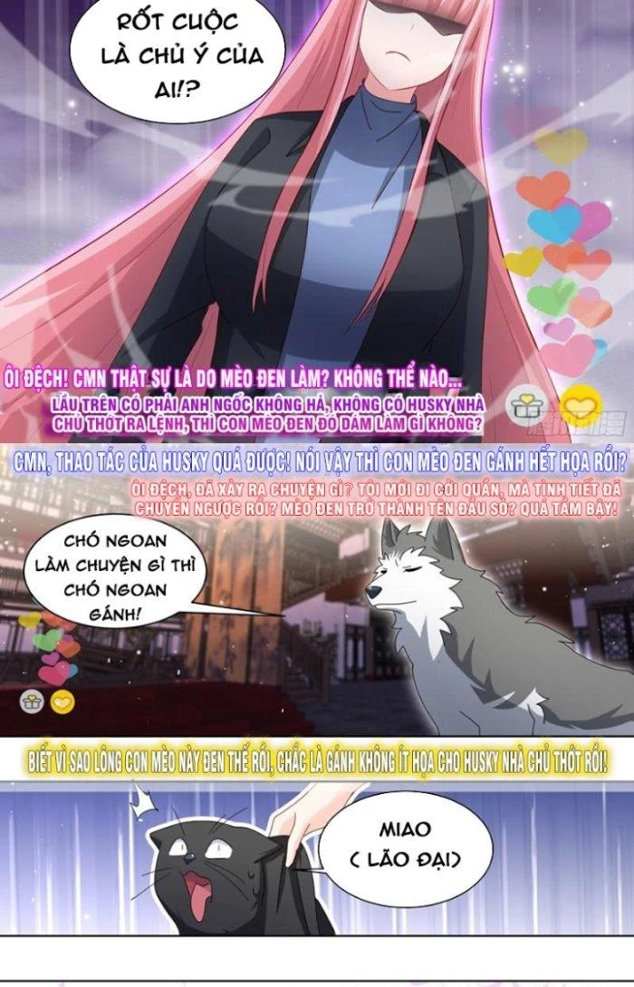 Trọng Sinh Thành Chó Của Nữ Thần Chapter 261 - Trang 2