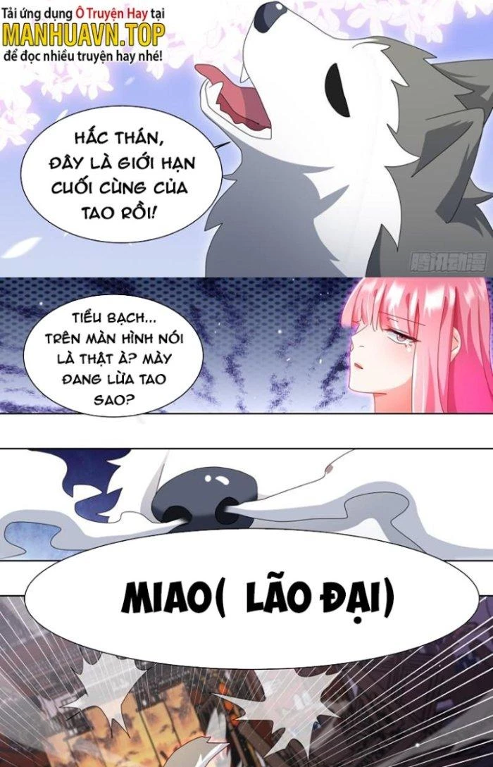 Trọng Sinh Thành Chó Của Nữ Thần Chapter 261 - Trang 2