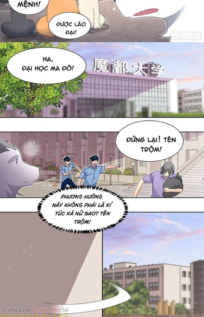 Trọng Sinh Thành Chó Của Nữ Thần Chapter 262 - Trang 2