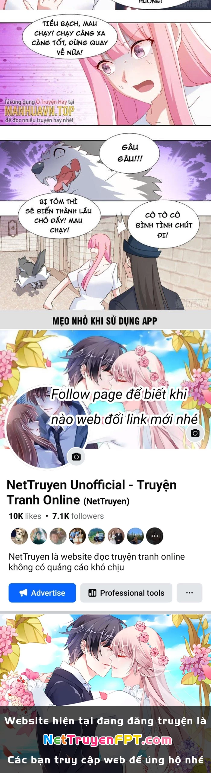 Trọng Sinh Thành Chó Của Nữ Thần Chapter 263 - Trang 2
