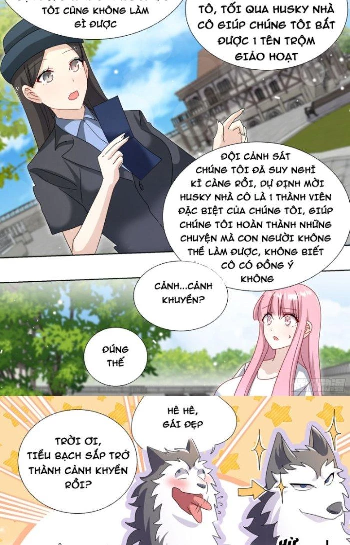 Trọng Sinh Thành Chó Của Nữ Thần Chapter 264 - Trang 2