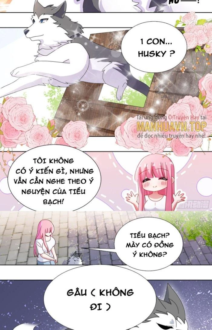 Trọng Sinh Thành Chó Của Nữ Thần Chapter 264 - Trang 2