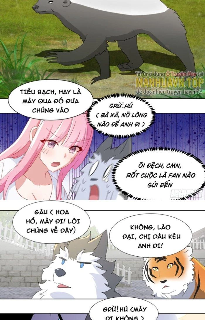 Trọng Sinh Thành Chó Của Nữ Thần Chapter 265 - Trang 2