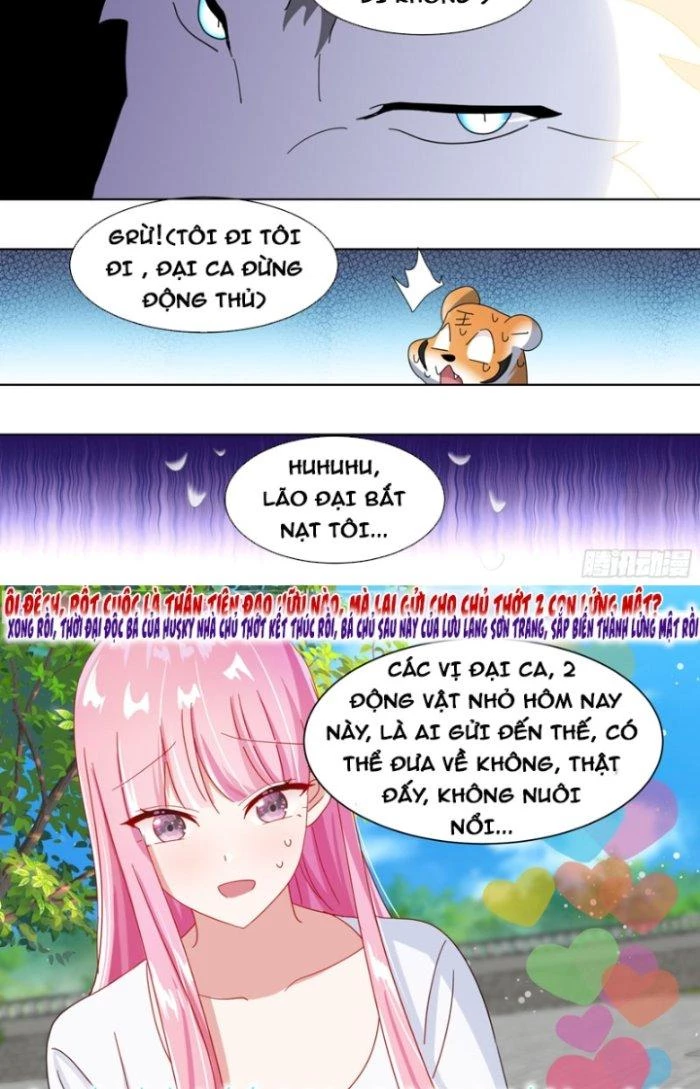 Trọng Sinh Thành Chó Của Nữ Thần Chapter 265 - Trang 2