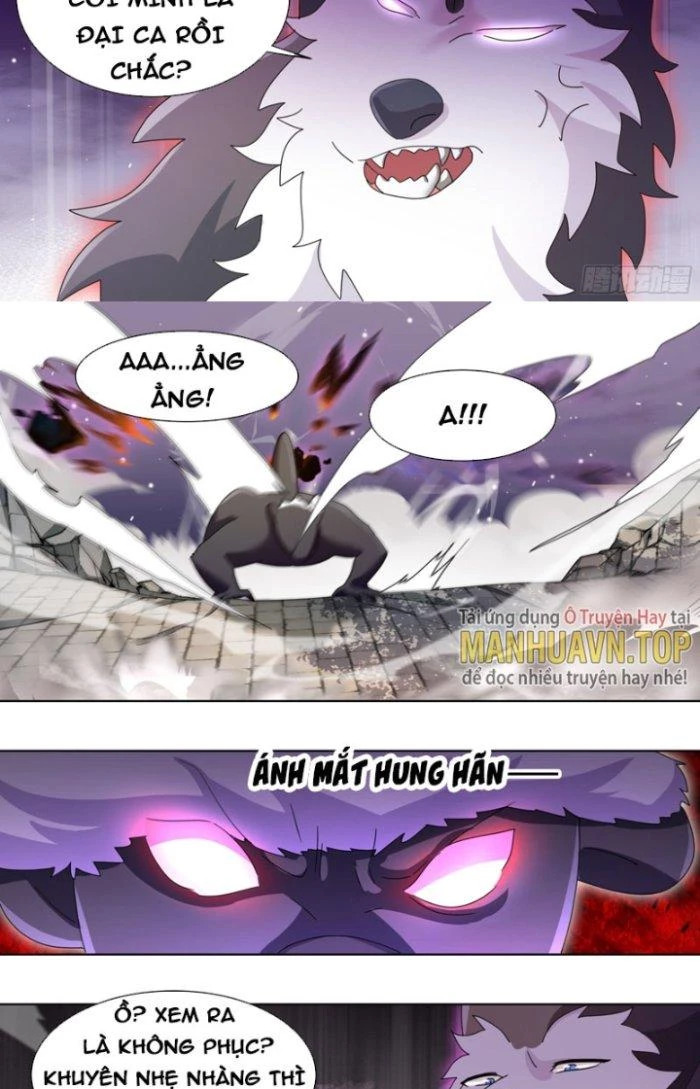 Trọng Sinh Thành Chó Của Nữ Thần Chapter 265 - Trang 2