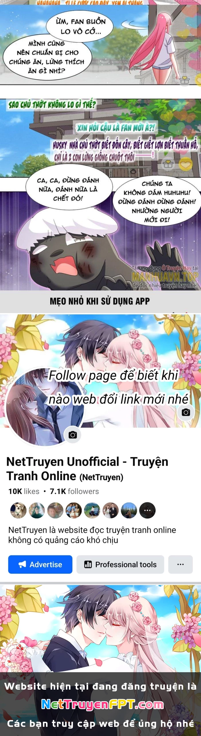 Trọng Sinh Thành Chó Của Nữ Thần Chapter 265 - Trang 2