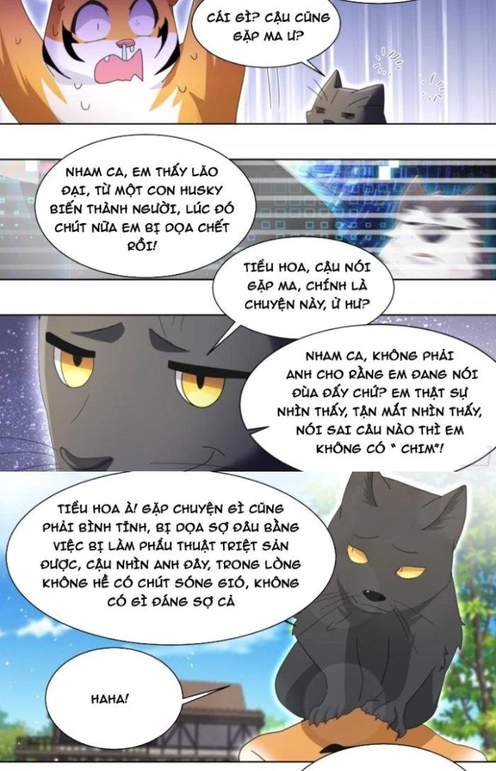 Trọng Sinh Thành Chó Của Nữ Thần Chapter 266 - Trang 2
