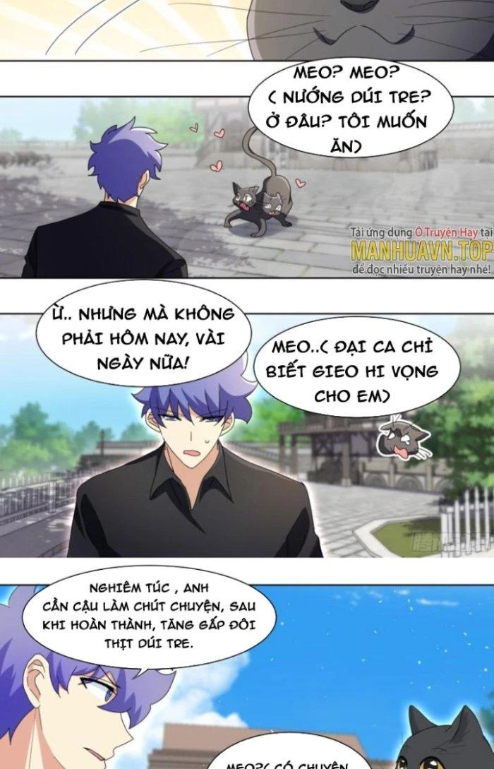 Trọng Sinh Thành Chó Của Nữ Thần Chapter 267 - Trang 2