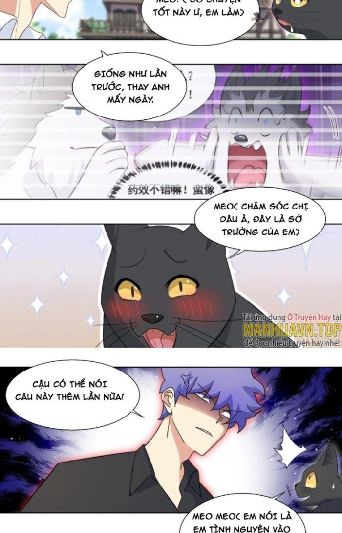 Trọng Sinh Thành Chó Của Nữ Thần Chapter 267 - Trang 2