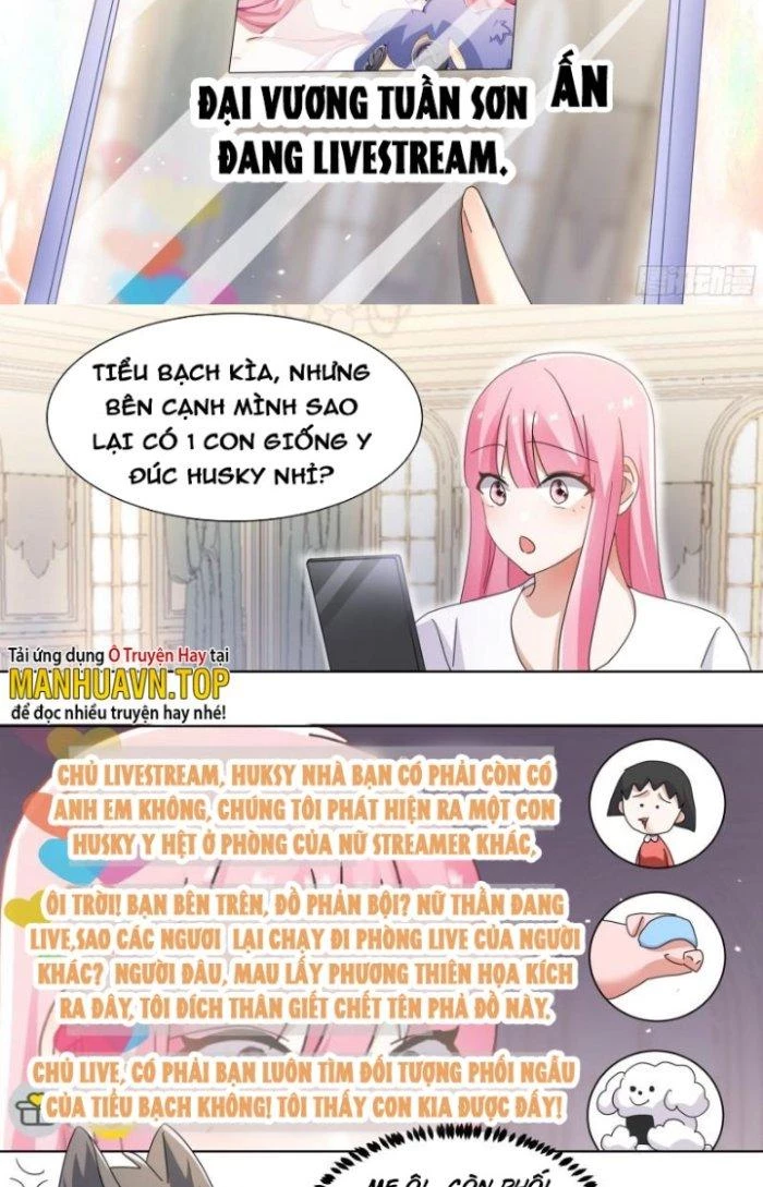 Trọng Sinh Thành Chó Của Nữ Thần Chapter 269 - Trang 2