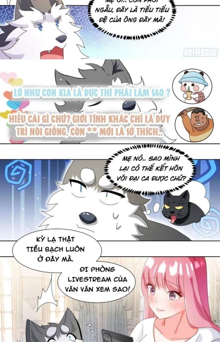Trọng Sinh Thành Chó Của Nữ Thần Chapter 269 - Trang 2