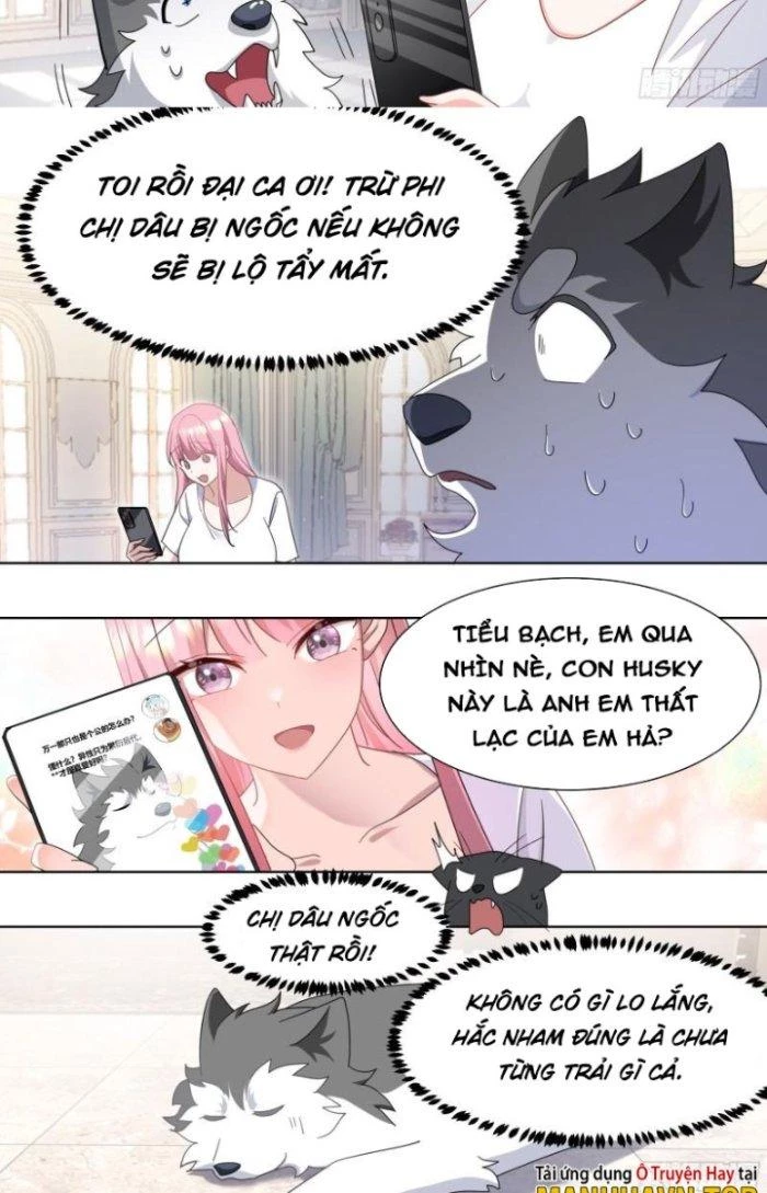 Trọng Sinh Thành Chó Của Nữ Thần Chapter 269 - Trang 2