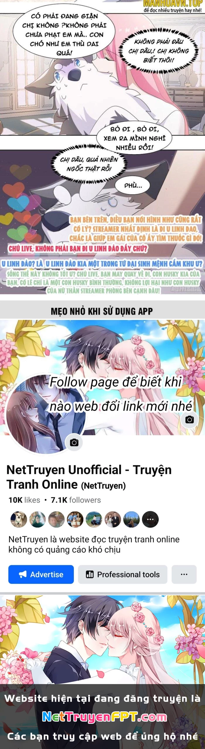 Trọng Sinh Thành Chó Của Nữ Thần Chapter 269 - Trang 2