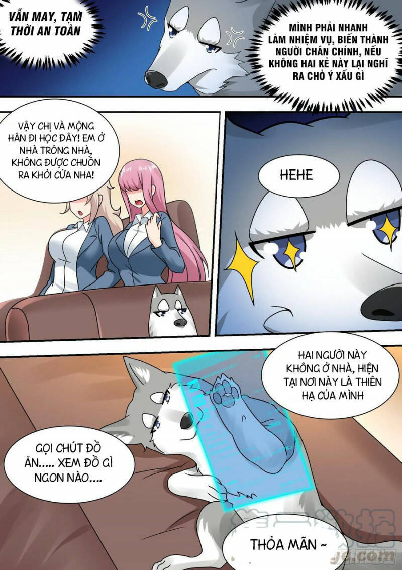 Trọng Sinh Thành Chó Của Nữ Thần Chapter 27 - Trang 2