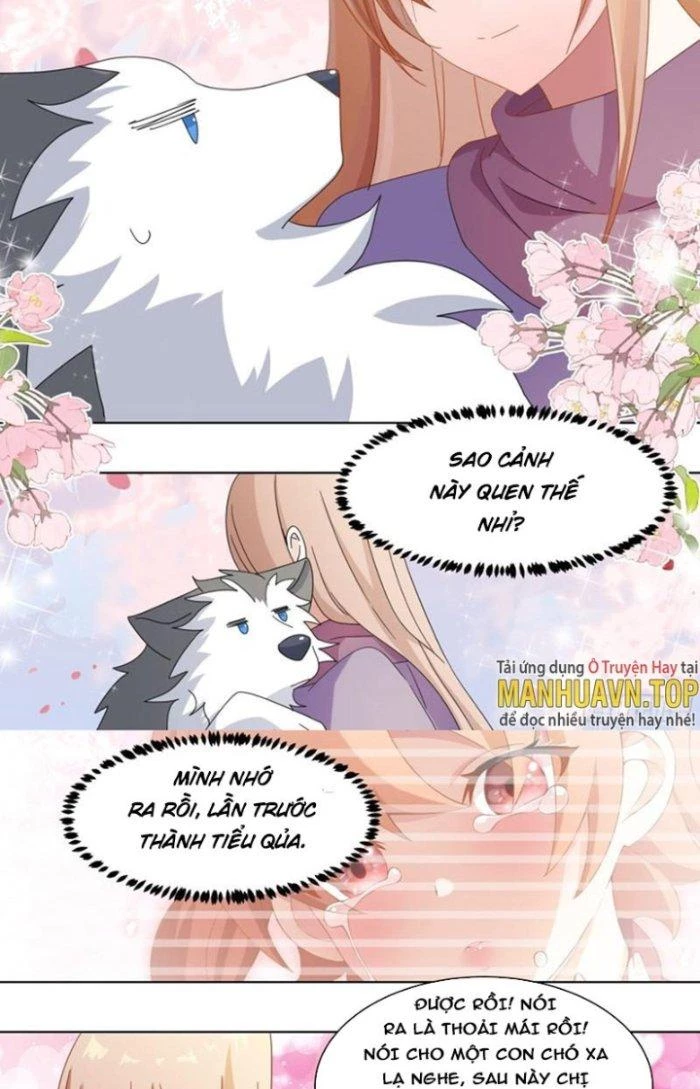 Trọng Sinh Thành Chó Của Nữ Thần Chapter 270 - Trang 2
