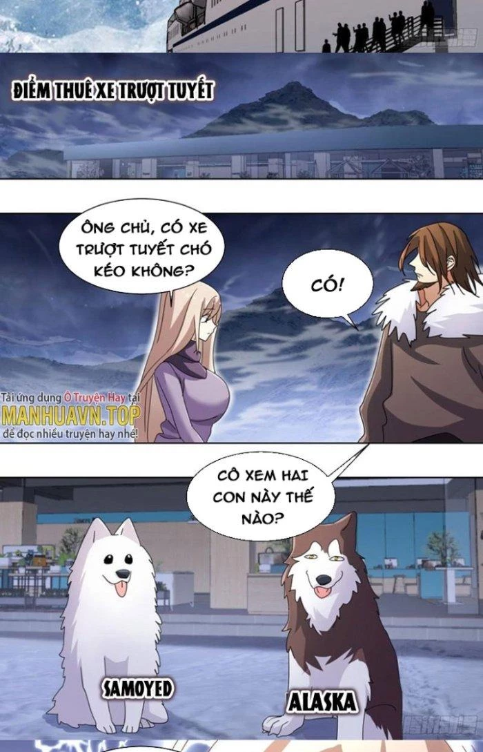 Trọng Sinh Thành Chó Của Nữ Thần Chapter 270 - Trang 2