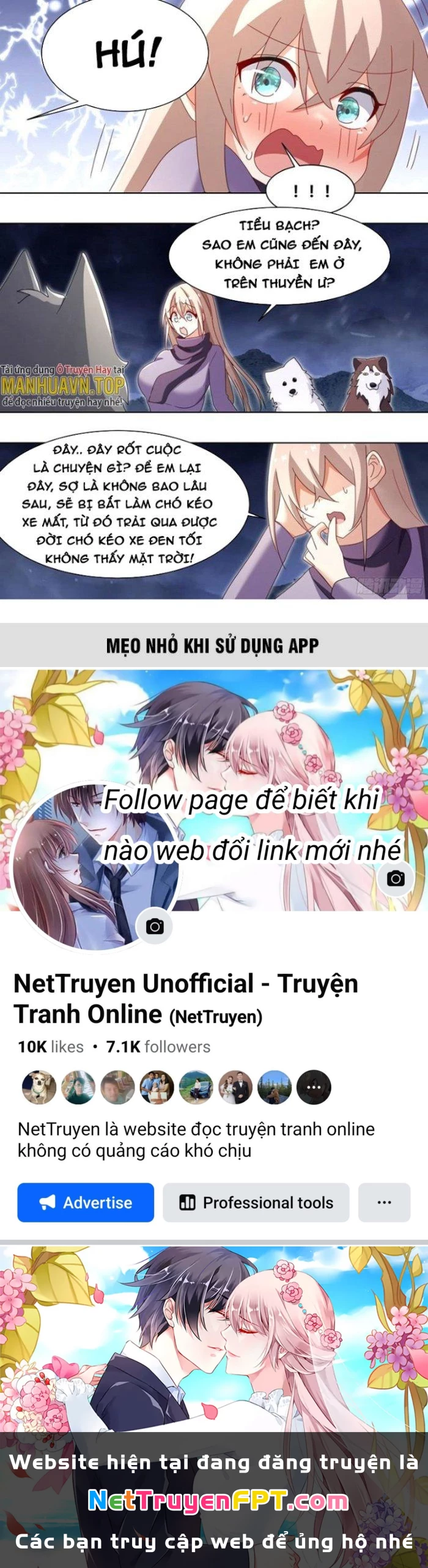 Trọng Sinh Thành Chó Của Nữ Thần Chapter 270 - Trang 2