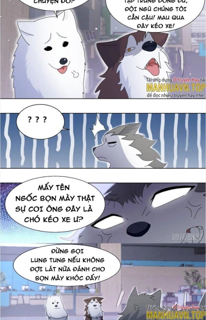 Trọng Sinh Thành Chó Của Nữ Thần Chapter 271 - Trang 2