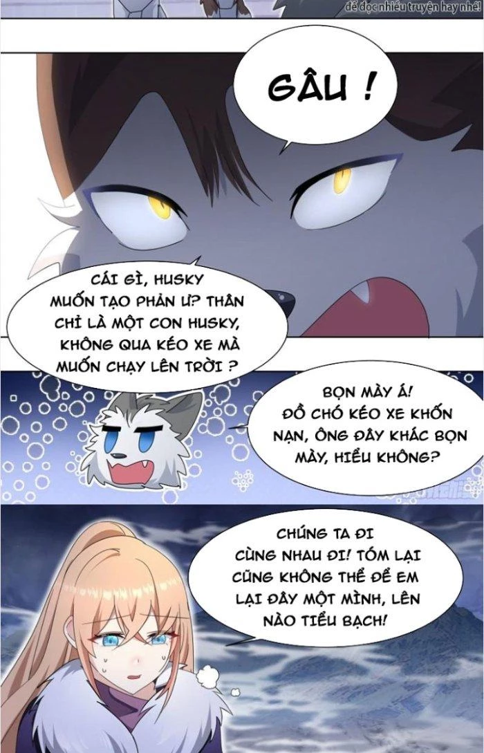 Trọng Sinh Thành Chó Của Nữ Thần Chapter 271 - Trang 2