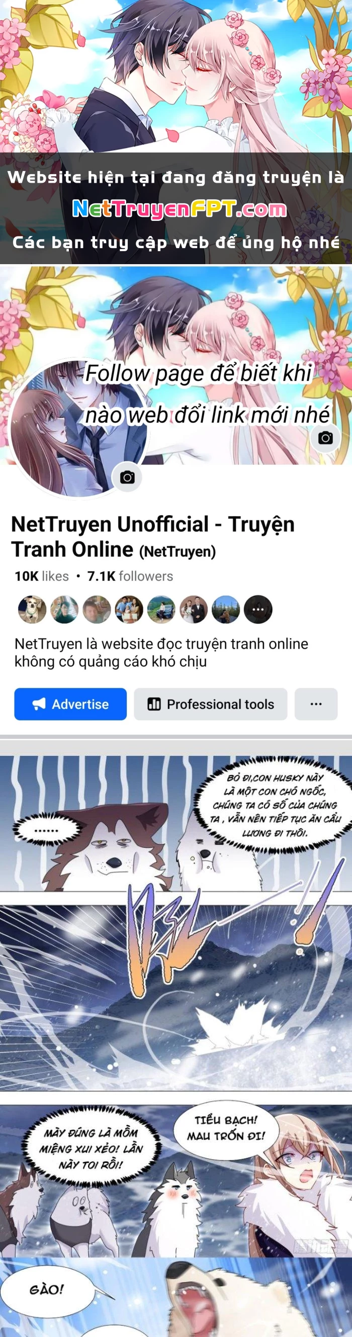 Trọng Sinh Thành Chó Của Nữ Thần Chapter 272 - Trang 2