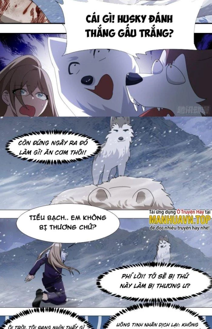 Trọng Sinh Thành Chó Của Nữ Thần Chapter 272 - Trang 2