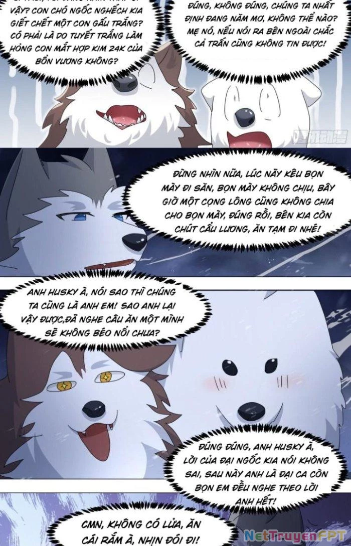 Trọng Sinh Thành Chó Của Nữ Thần Chapter 272 - Trang 2