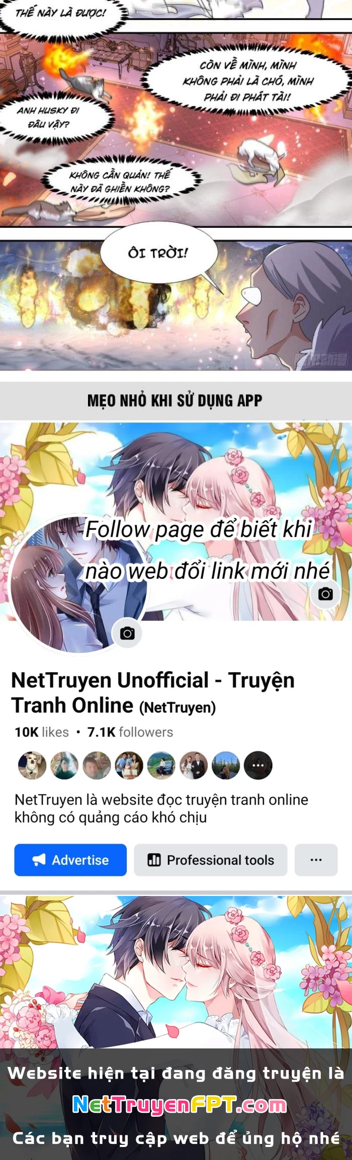 Trọng Sinh Thành Chó Của Nữ Thần Chapter 273 - Trang 2