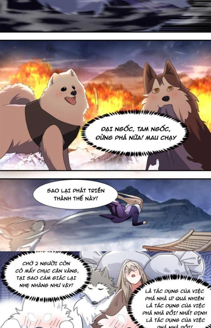 Trọng Sinh Thành Chó Của Nữ Thần Chapter 274 - Trang 2
