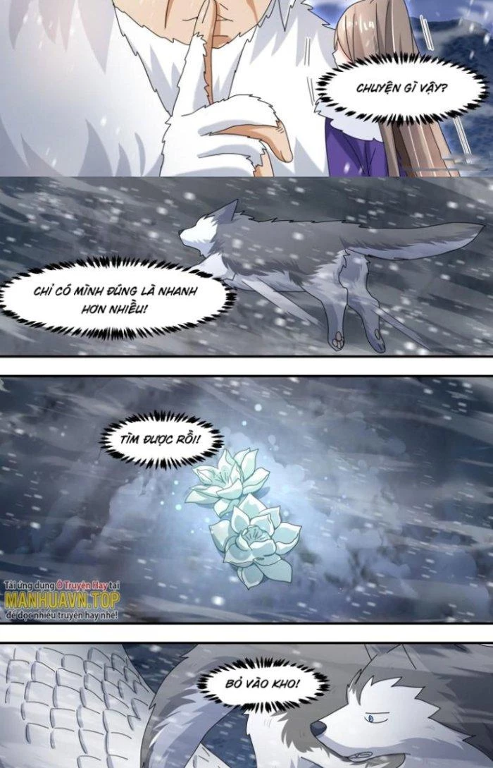 Trọng Sinh Thành Chó Của Nữ Thần Chapter 277 - Trang 2