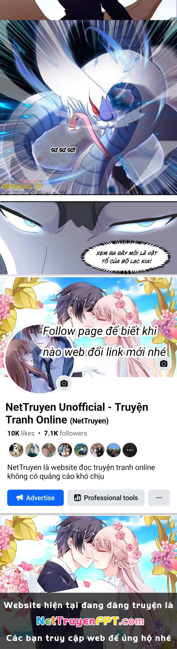 Trọng Sinh Thành Chó Của Nữ Thần Chapter 277 - Trang 2